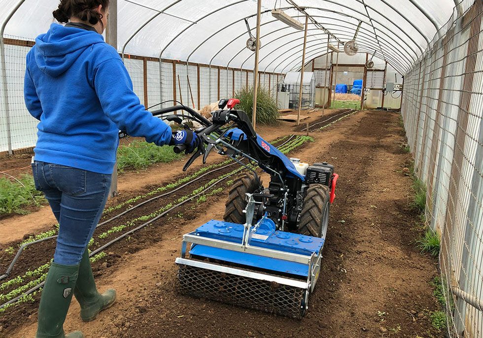 product_853-PowerHarrow-HighTunnel-Clackamas-800x9801660594415-800416